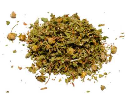 Cistus Creticus Herbal Tea 2 Cistus Creticus Herbal Tea - Image 2