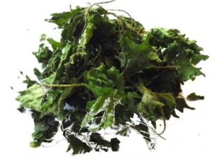 Nettle | Τσουκνίδα 3 Nettle | Τσουκνίδα - Image 3