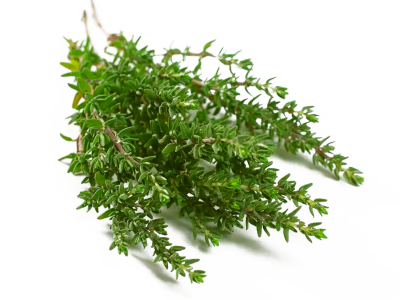 Thyme | Θυμάρι 3 Thyme | Θυμάρι - Image 3